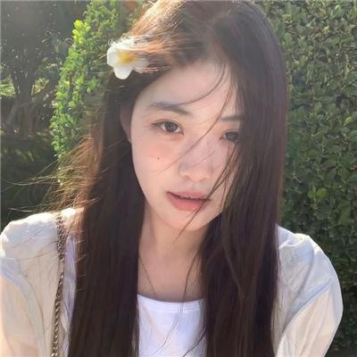 双生赤狐